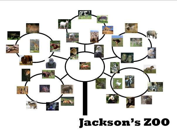 Jackson's Zoo