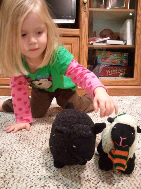 Lauren is a shepherd tending her sheep