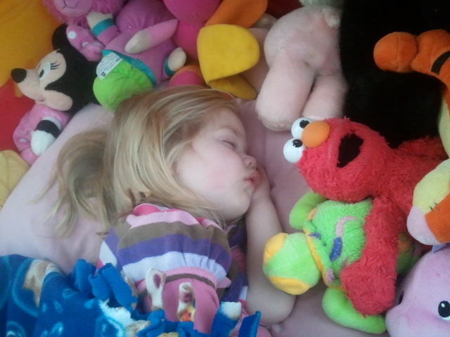 Lauren sleeps, along with all her stuffed animals.