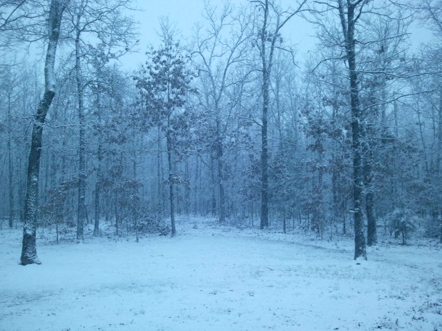 Weather is one excuse I made this winter to postpone/cancel running.