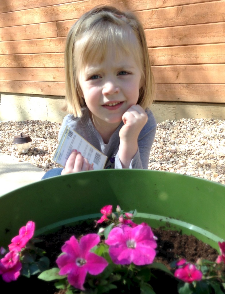 Lauren choose all pink flowers to plant