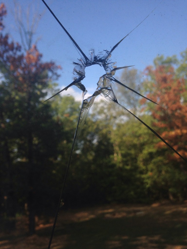 Mowing accident