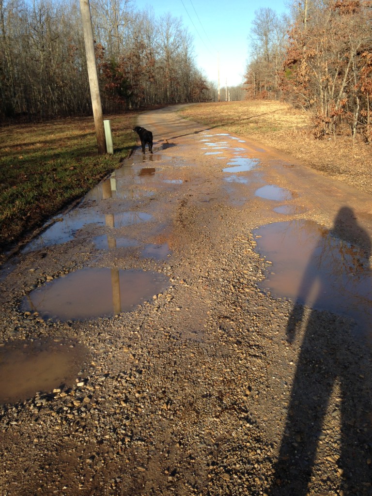Navigating through the mud puddles isn't always an easy task.